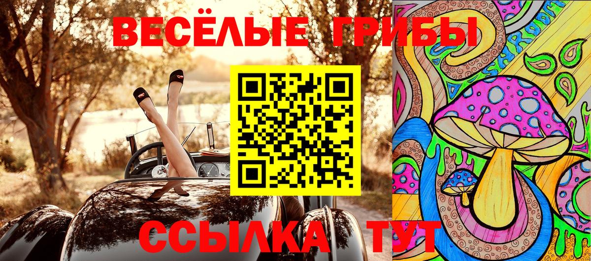 Новозыбков  Галлюциногенные грибы MAGIC MUSHROOMS  Вход с VPN  Галлюциногенные грибы MAGIC MUSHROOMS 