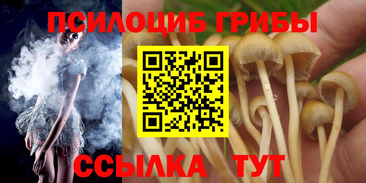 Галлюциногенные грибы Magic Shrooms Новозыбков
